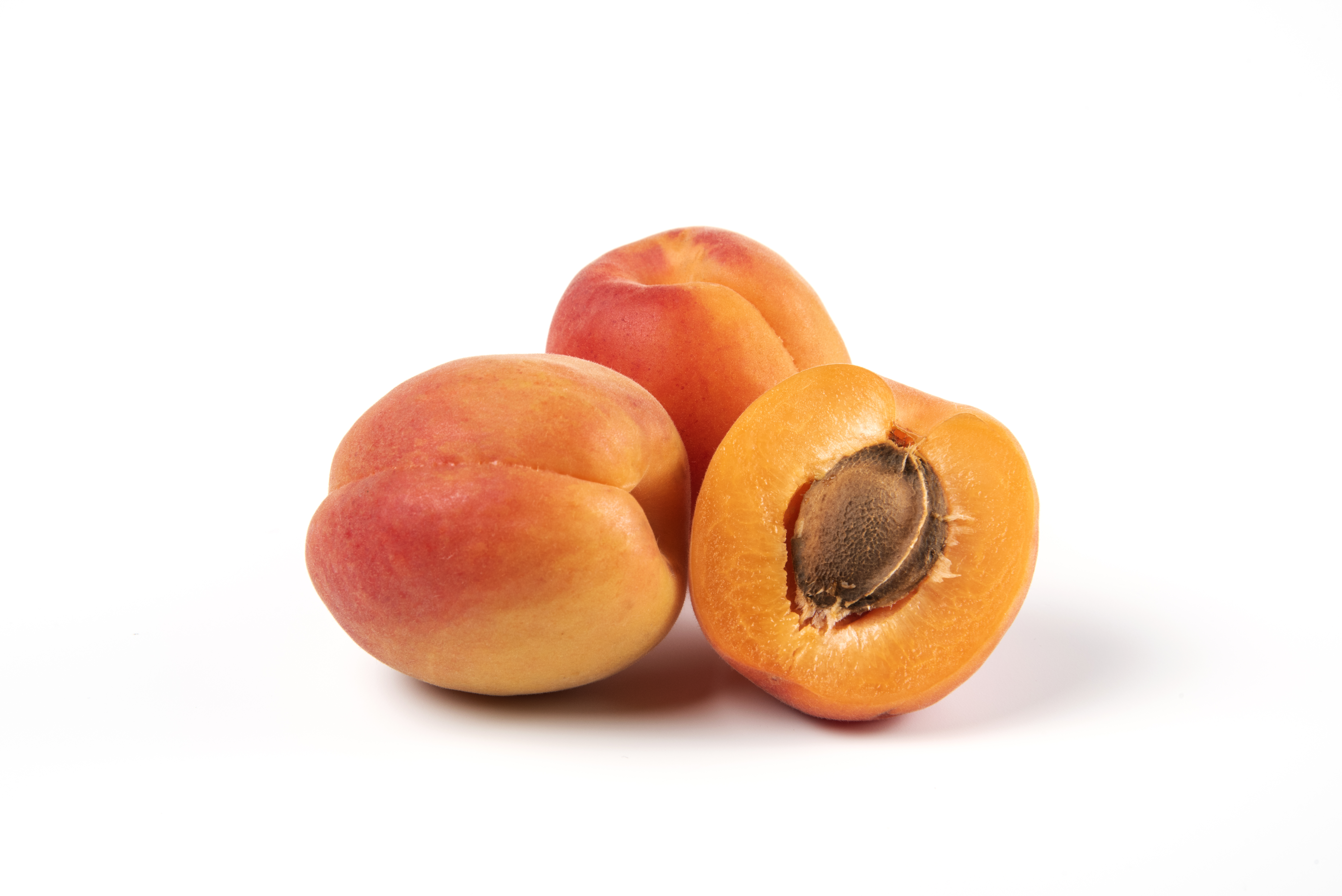 Apricot
